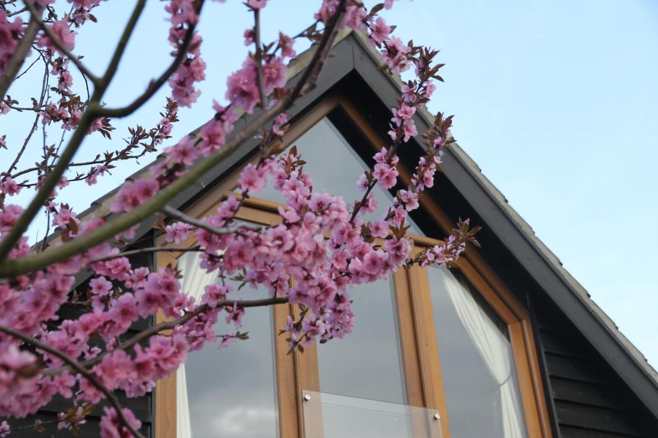 Superb Stokesby Barn Apartment - Norfolk Broads & Norwich מראה חיצוני תמונה